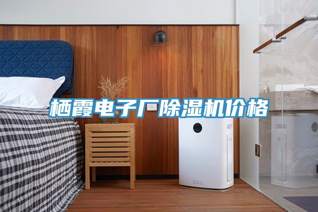 棲霞電子廠91看片网站價格