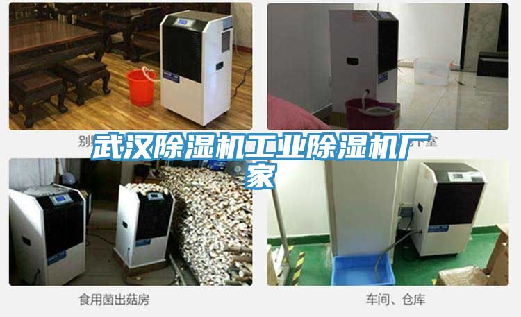 武漢91看片网站工業91看片网站廠家