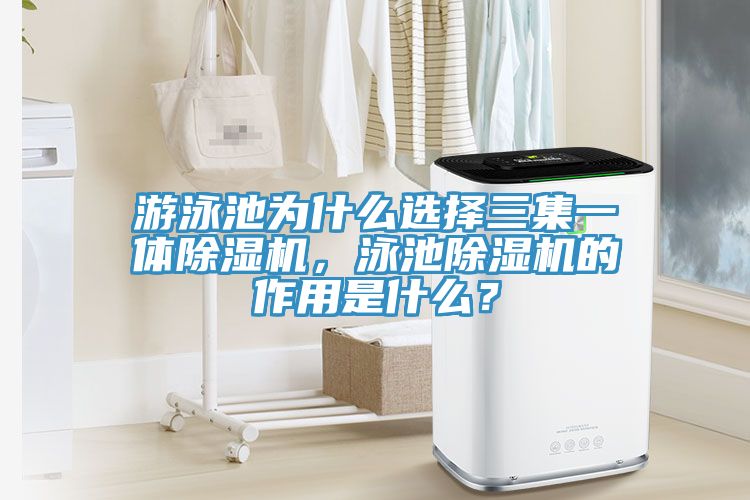 遊泳池為什麽選擇三集一體91看片网站，泳池91看片网站的作用是什麽？