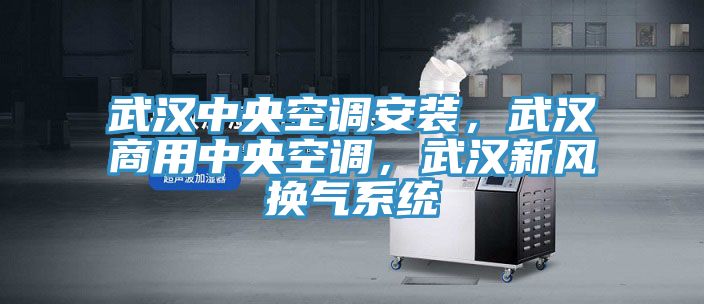 武漢中央空調安裝，武漢商用中央空調，武漢新風換氣係統