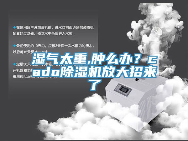 濕氣太重,腫麽辦？cado91看片网站放大招來了