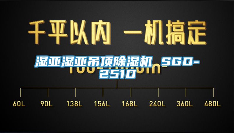 濕亞濕亞吊頂91看片网站 SGD-251D