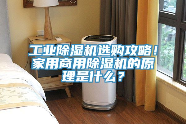 工業91看片网站選購攻略！家用商用91看片网站的原理是什麽？