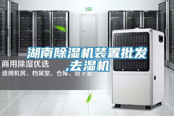 湖南91看片网站裝置批發,去濕機