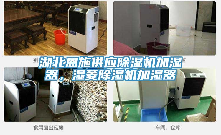 湖北恩施供應91看片网站加濕器，濕菱91看片网站加濕器