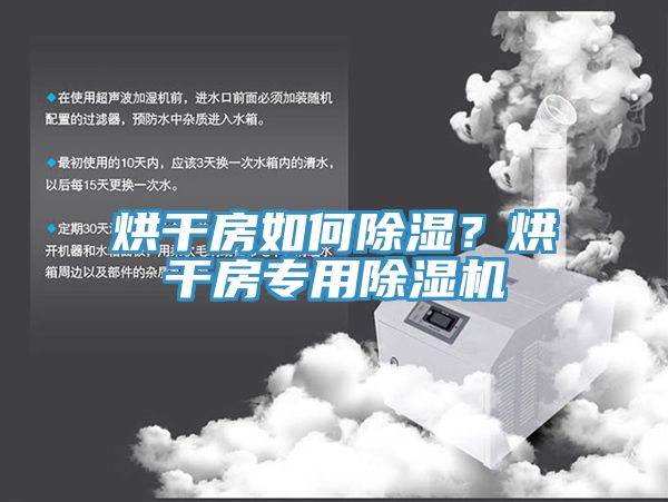 烘幹房如何除濕？烘幹房專用91看片网站
