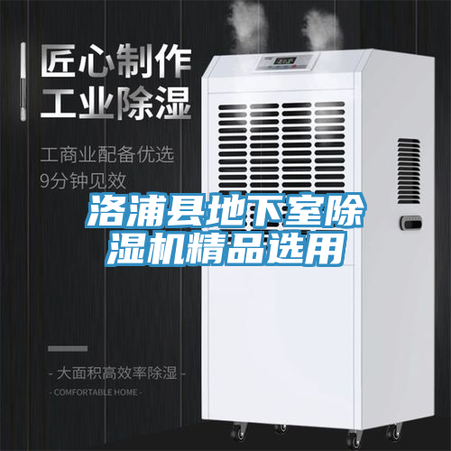 洛浦縣地下室91看片网站精品選用