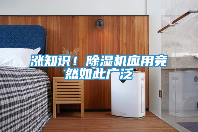 漲知識！91看片网站應用竟然如此廣泛