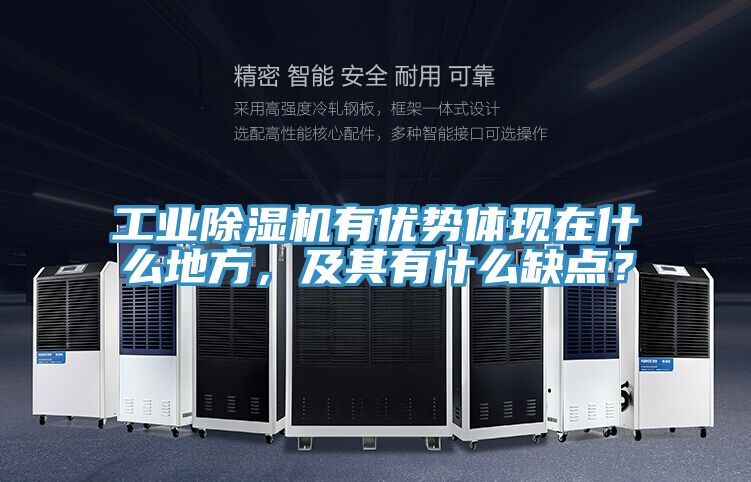 工業91看片网站有優勢體現在什麽地方，及其有什麽缺點？