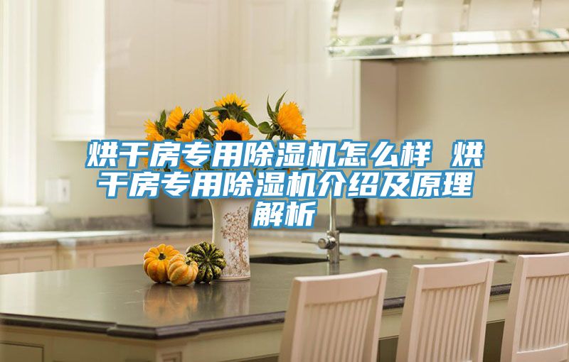烘幹房專用91看片网站怎麽樣 烘幹房專用91看片网站介紹及原理解析