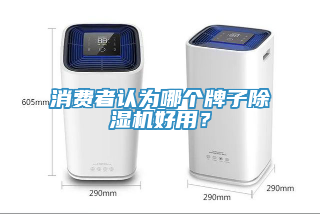 消費者認為哪個牌子91看片网站好用？