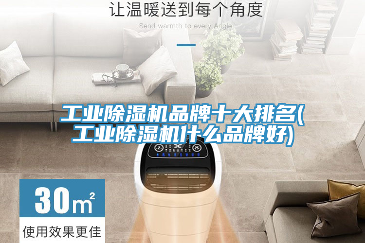 工業91看片网站品牌十大排名(工業91看片网站什麽品牌好)