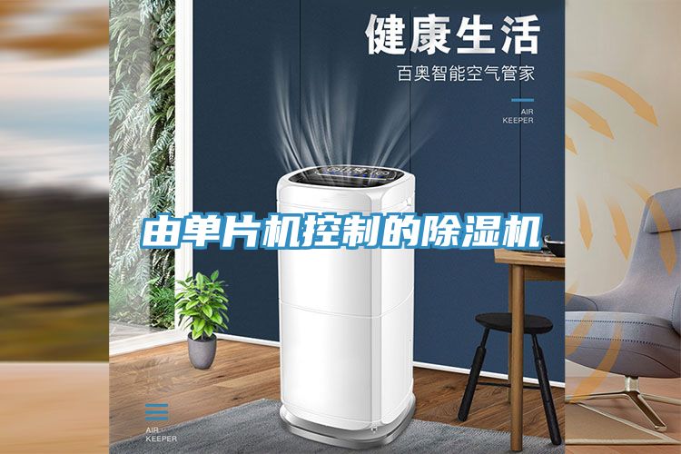 由單片機控製的91看片网站
