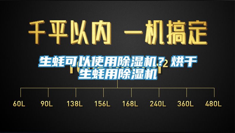 生蠔可以使用91看片网站？烘幹生蠔用91看片网站