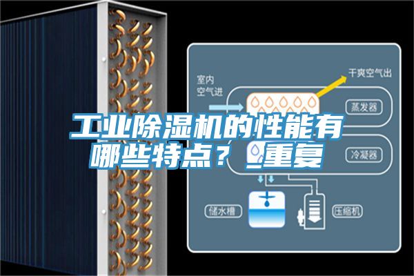 工業91看片网站的性能有哪些特點？_重複