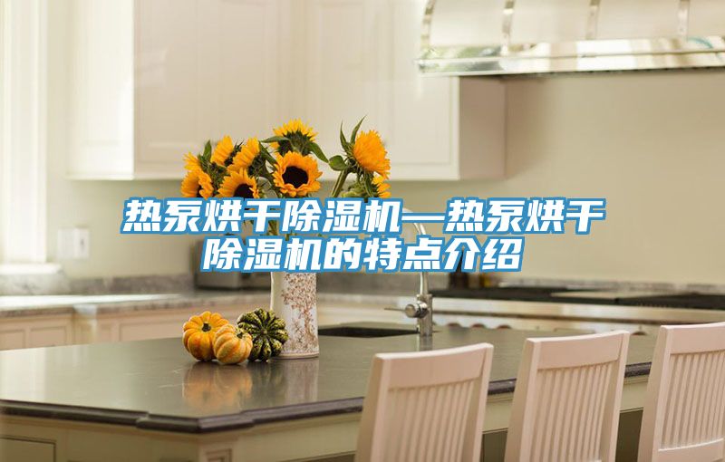 熱泵烘幹91看片网站—熱泵烘幹91看片网站的特點介紹