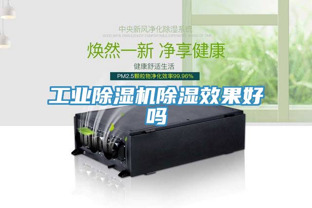 工業91看片网站除濕效果好嗎