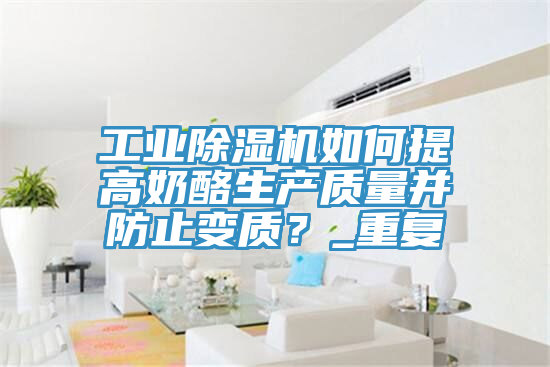 工業91看片网站如何提高奶酪生產質量並防止變質？_重複