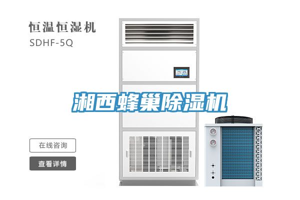 湘西蜂巢91看片网站