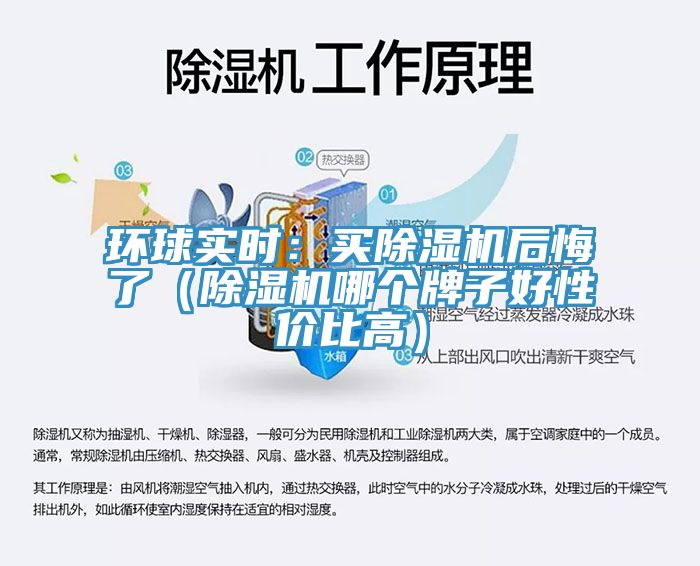 環球實時：買91看片网站後悔了（91看片网站哪個牌子好性價比高）