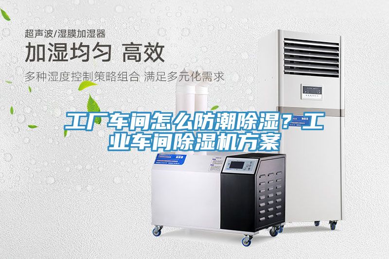 工廠車間怎麽防潮除濕？工業車間91看片网站方案