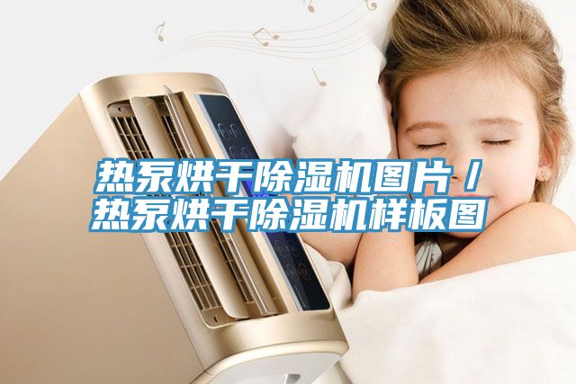 熱泵烘幹91看片网站圖片／熱泵烘幹91看片网站樣板圖