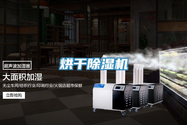 烘幹91看片网站