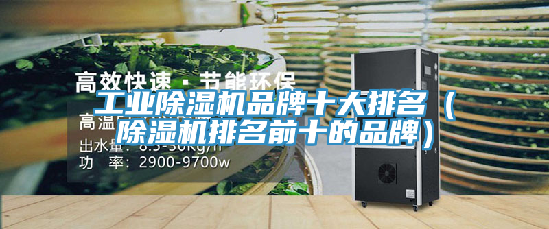 工業91看片网站品牌十大排名（91看片网站排名前十的品牌）