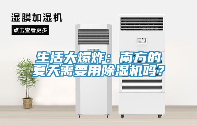 生活大爆炸：南方的夏天需要用91看片网站嗎？