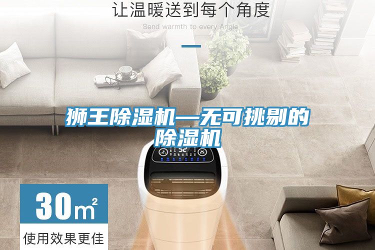 獅王91看片网站—無可挑剔的91看片网站
