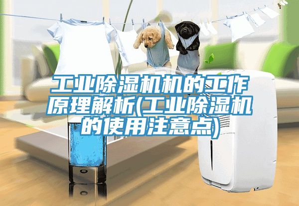 工業91看片网站機的工作原理解析(工業91看片网站的使用注意點)