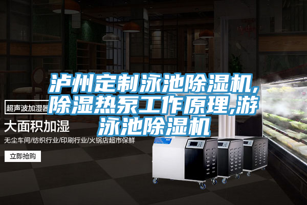 瀘州定製泳池91看片网站,除濕熱泵工作原理,遊泳池91看片网站