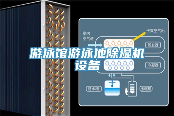 遊泳館遊泳池91看片网站設備