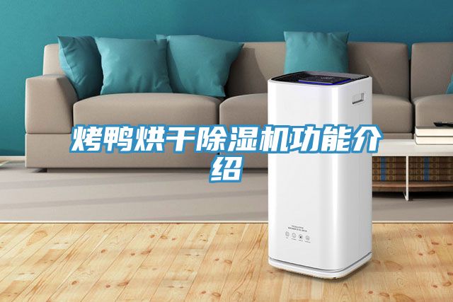 烤鴨烘幹91看片网站功能介紹