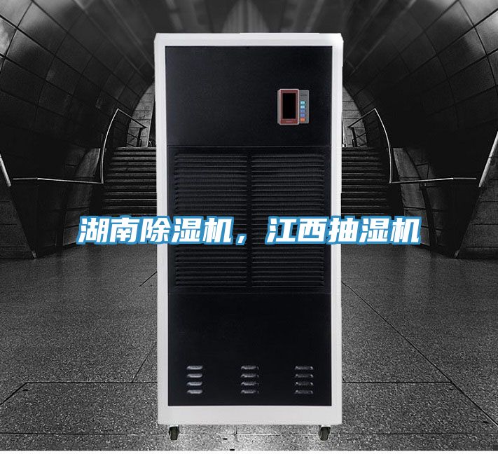 湖南91看片网站，江西抽濕機