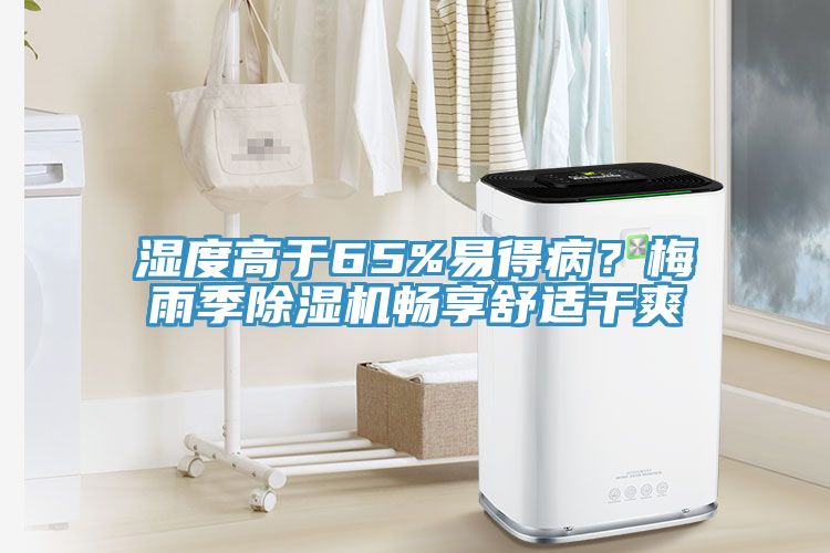 濕度高於65%易得病？梅雨季91看片网站暢享舒適幹爽