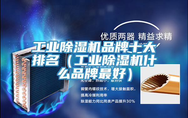 工業91看片网站品牌十大排名（工業91看片网站什麽品牌最好）