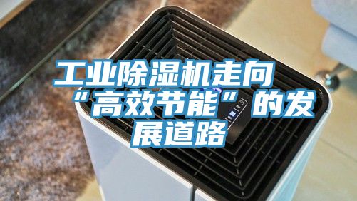 工業91看片网站走向“高效節能”的發展道路