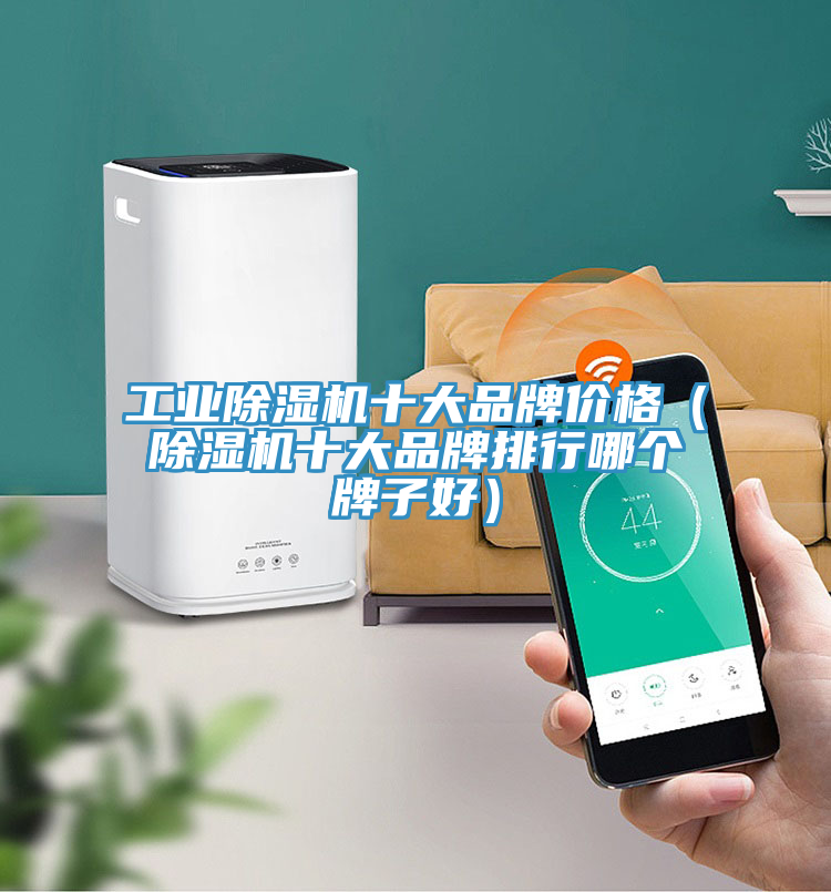工業91看片网站十大品牌價格（91看片网站十大品牌排行哪個牌子好）