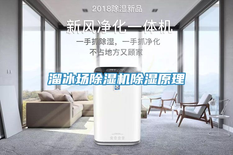 溜冰場91看片网站除濕原理