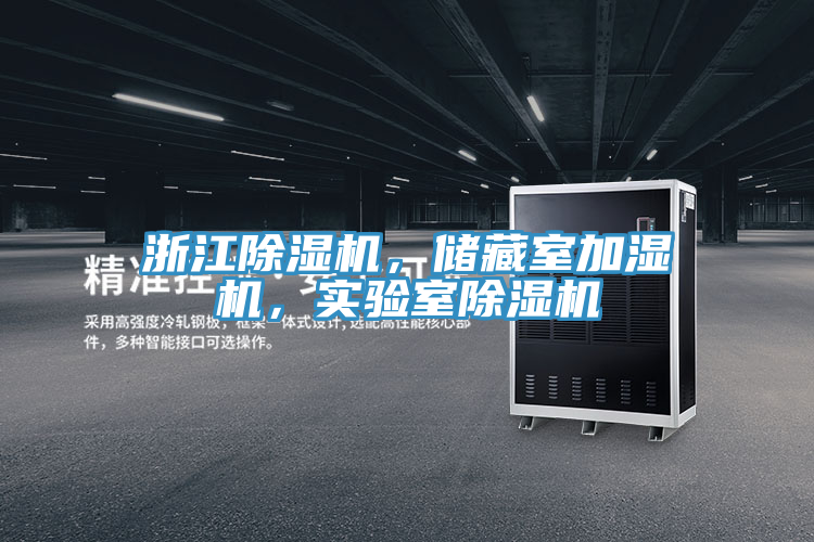 浙江91看片网站，儲藏室加濕機，實驗室91看片网站