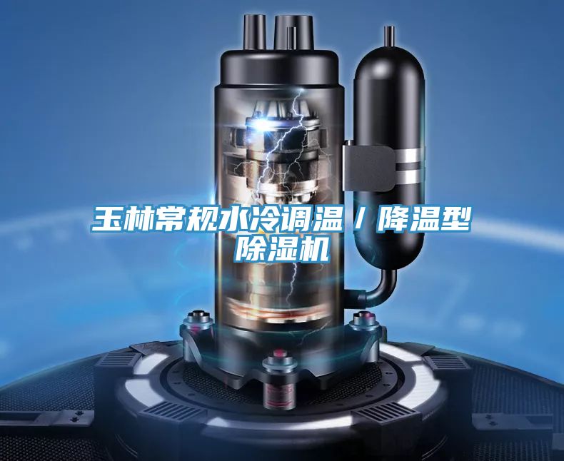 玉林常規水冷調溫／降溫型91看片网站