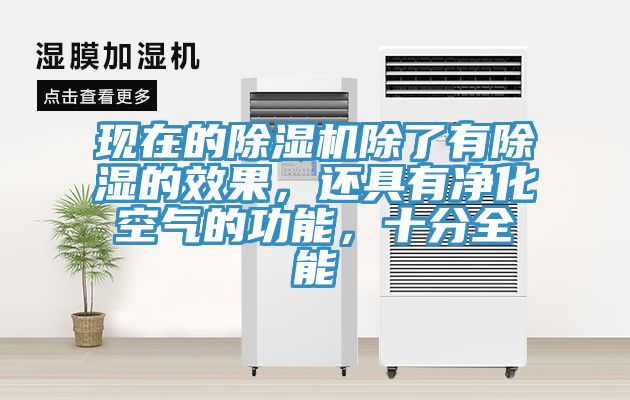 現在的91看片网站除了有除濕的效果，還具有淨化空氣的功能，十分全能