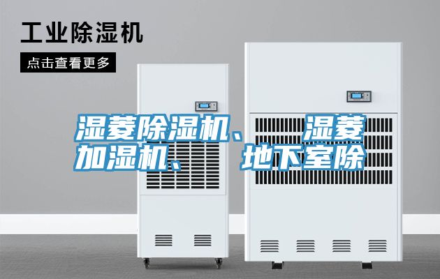 濕菱91看片网站、  濕菱加濕機、  地下室除