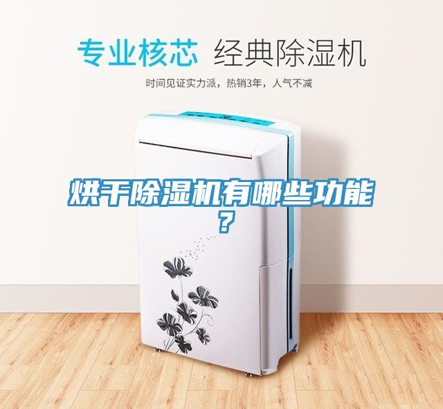烘幹91看片网站有哪些功能？