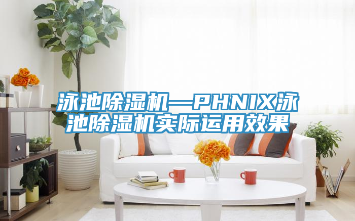 泳池91看片网站—PHNIX泳池91看片网站實際運用效果