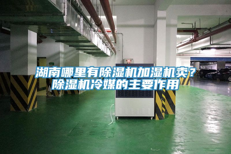 湖南哪裏有91看片网站加濕機賣？91看片网站冷媒的主要作用
