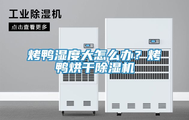 烤鴨濕度大怎麽辦？烤鴨烘幹91看片网站