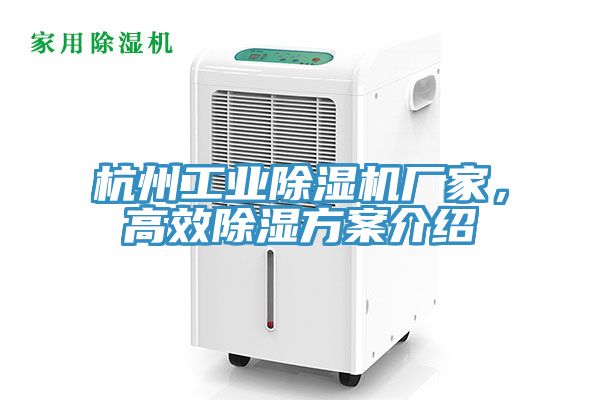 杭州工業91看片网站廠家，高效除濕方案介紹