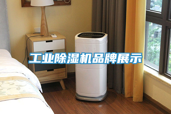 工業91看片网站品牌展示